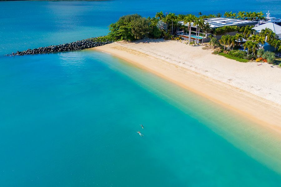 people swimming at boathaven beach airlie beach