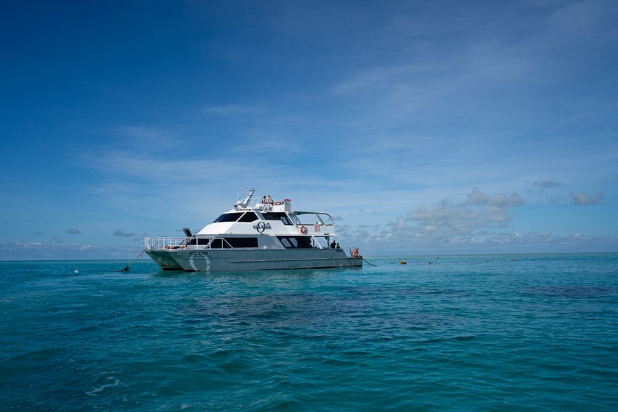 Ocean Freedom vessel on the Great Barrier Reef