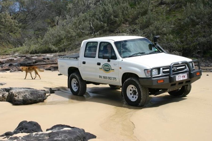 Age Restrictions for Fraser Island 4WD Hire & TagAlong Tours
