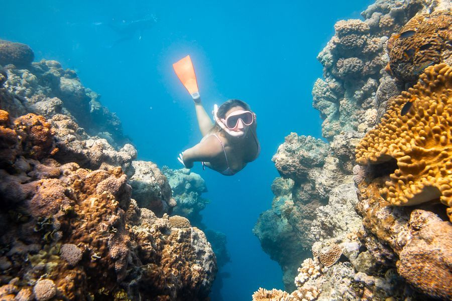 girl swimming through corals on great barrier reef
