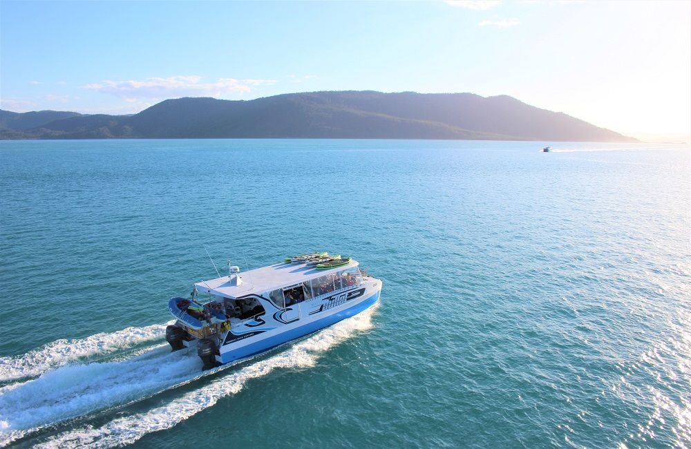 whitsundays cruise backpackers