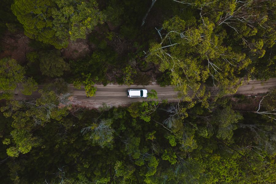 white 4wd driving through the lush forest on k'gari