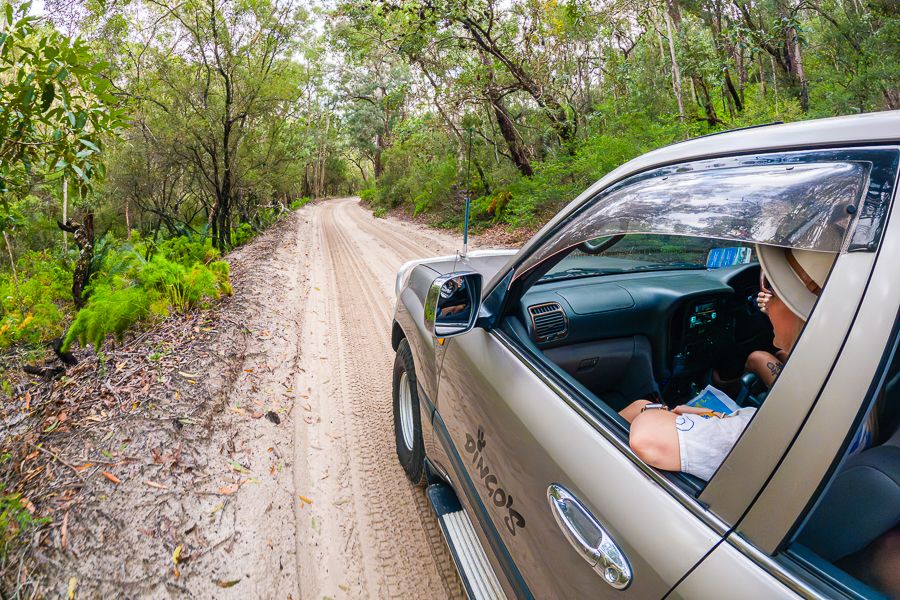 man in a 4wd car driving along kgari forest tracks