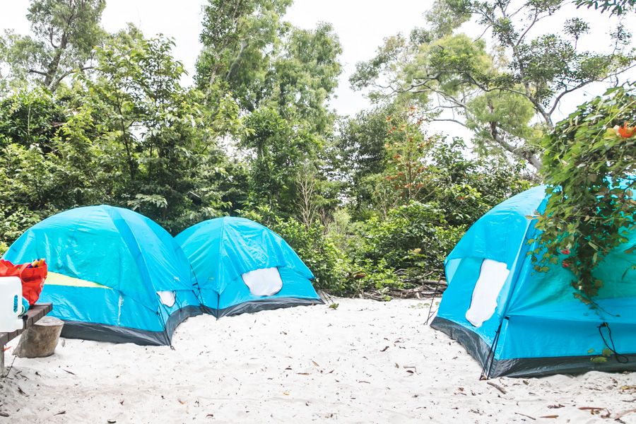 tents set up on the sand next to the forest on Whitsunday Island