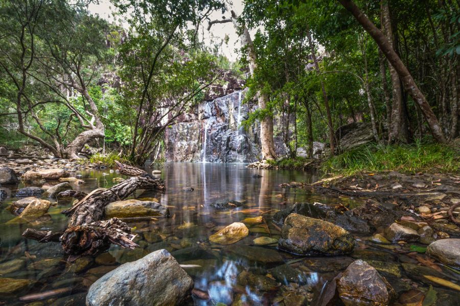 Cedar Creek Falls Whitsundays