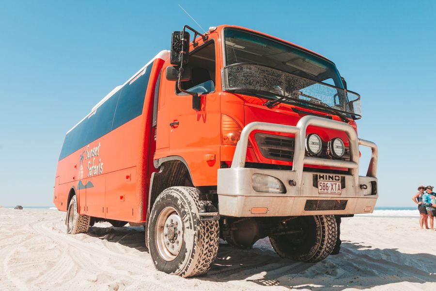 Sunset Safari Guided Eco Tour, Fraser Island