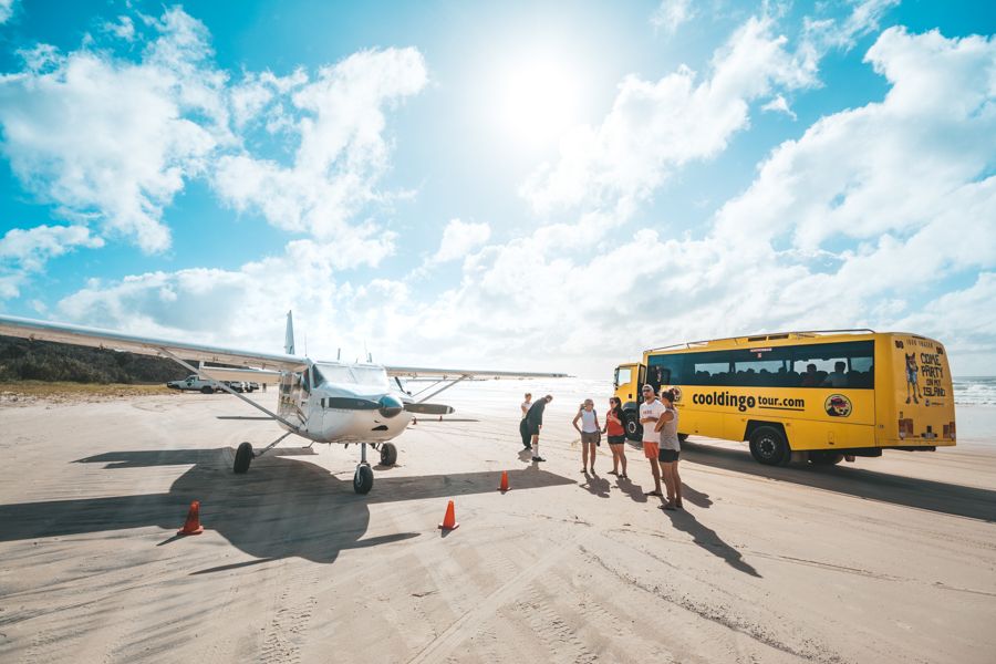 Cool Dingo Guided Tour and Fraser Air on 75 Mile Beach, Fraser Island