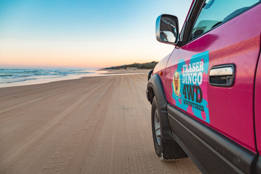 fraser dingo, 4wd, fraser island, australia