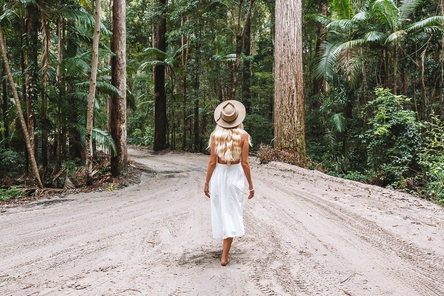 Rainforests on Fraser Island, Central Station