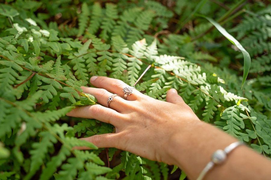 Ferns on K'gari with a hand touching them