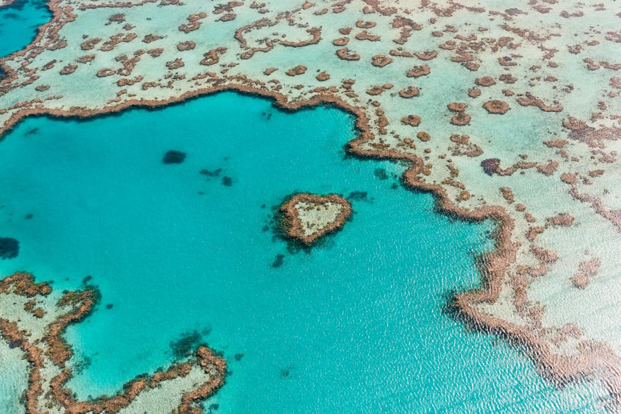 Heart Reef, Whitsundays, Great Barrier Reef Australia