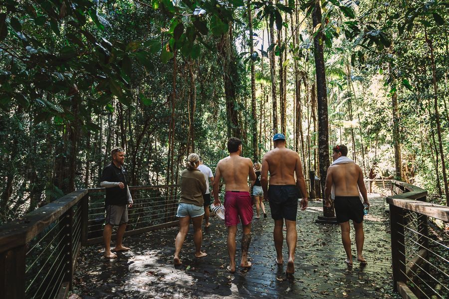 people walking through kgari rainforest boardwalk