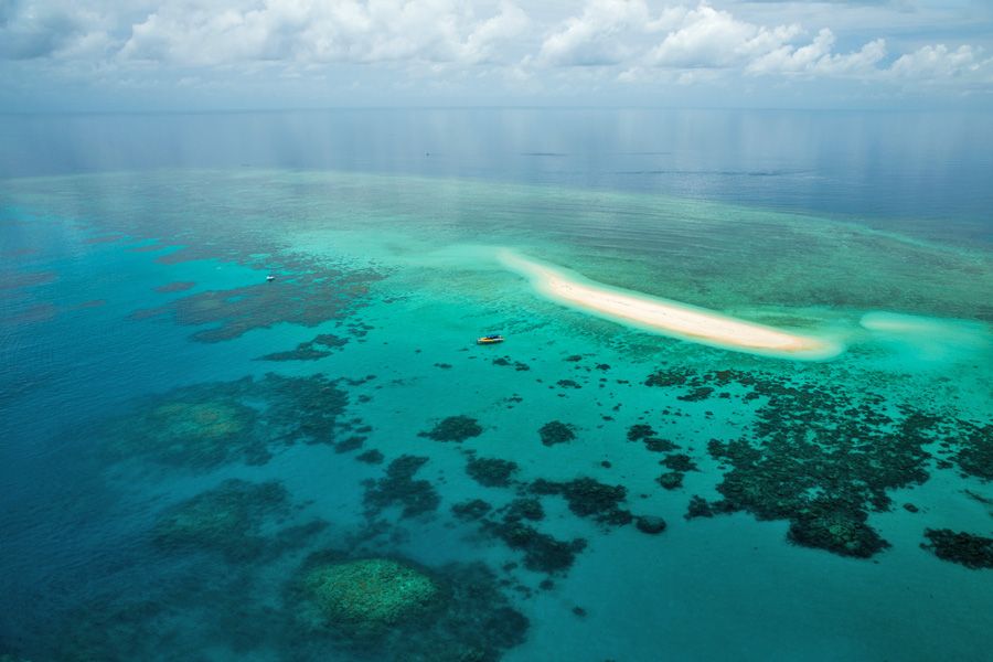 great barrier reef, cairns