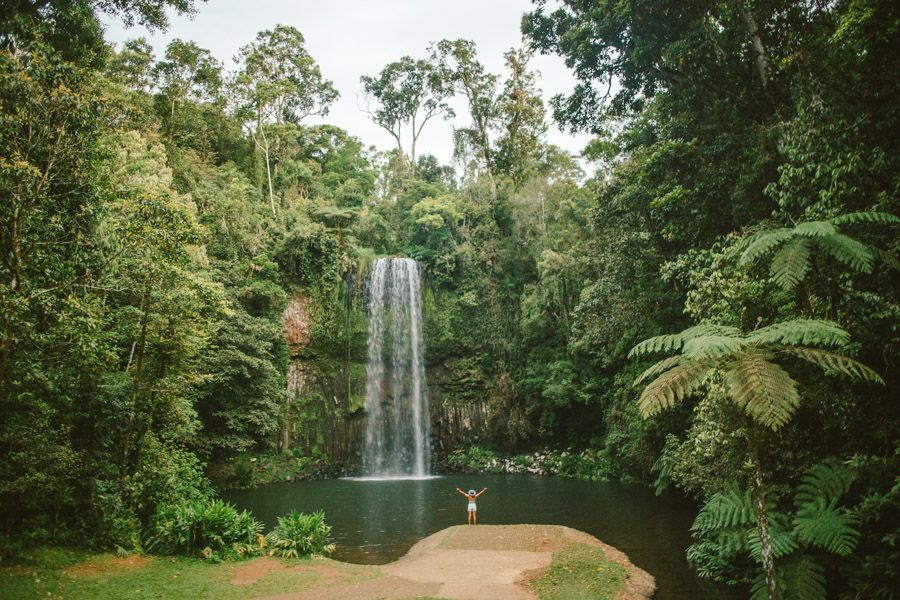 Person standing in front of the Millaa Millaa Falls, Cairns