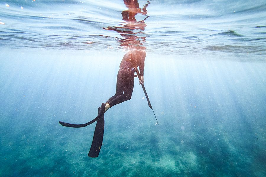 Man spearfishing, Australia