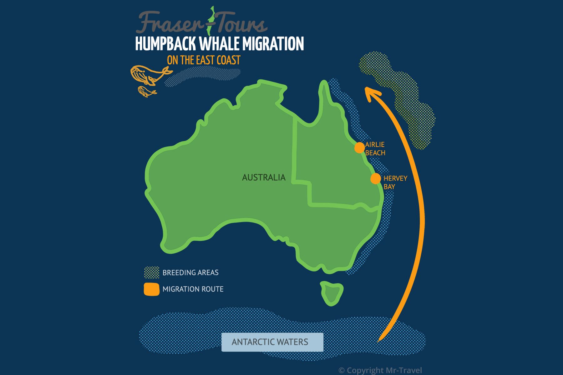 When to go whale watching in Hervey Bay - Whale Tours