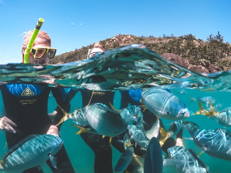 Snorkelling in the Whitsunday Islands, Whitsunday Catamaran