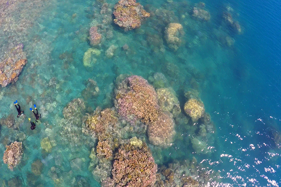 Langford Reef, neighbouring Stonehaven, Snorkel in the Whitsundays