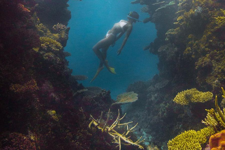 Cleo Cohen Instagram Snorkelling the Great Barrier Reef