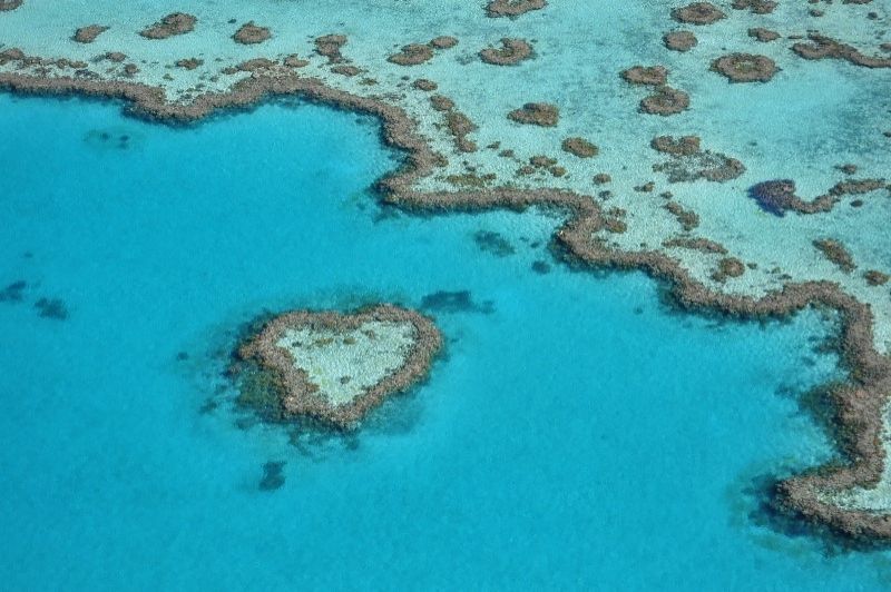 Scenic flight GSL heart reef Airlie Beach Whitsunday Coast airport 