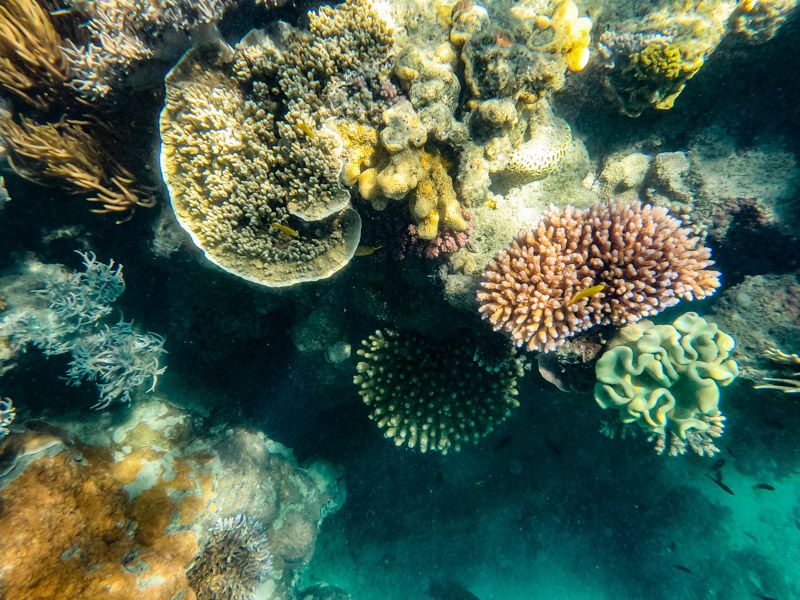 great barrier reef a look from nasa