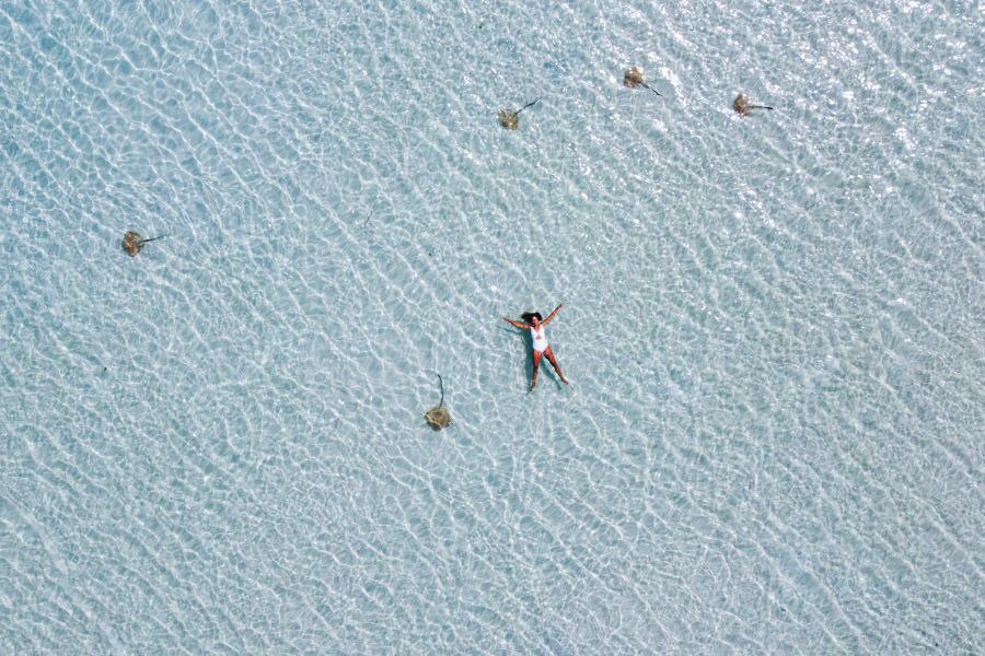 Stingrays Whitehaven Beach Whitsunday Island