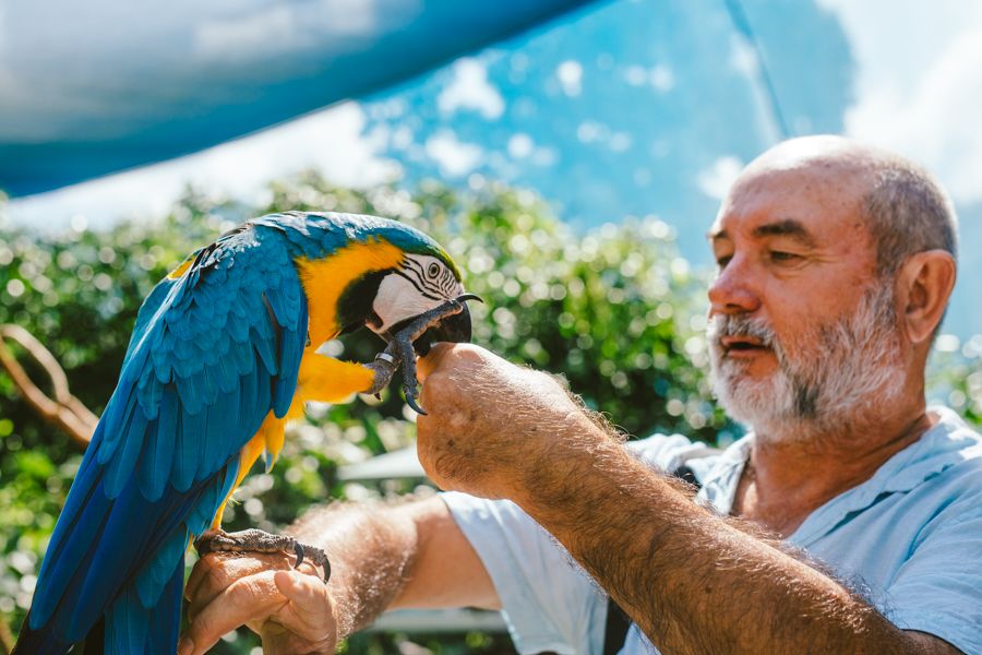 Cairns Tours experiences first-hand team