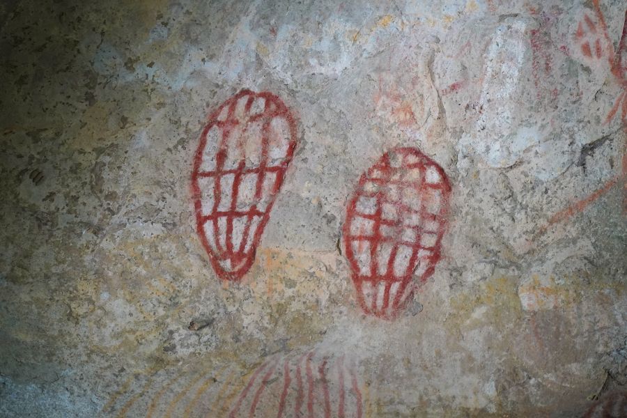 Close up of Ngaro rock paintings 