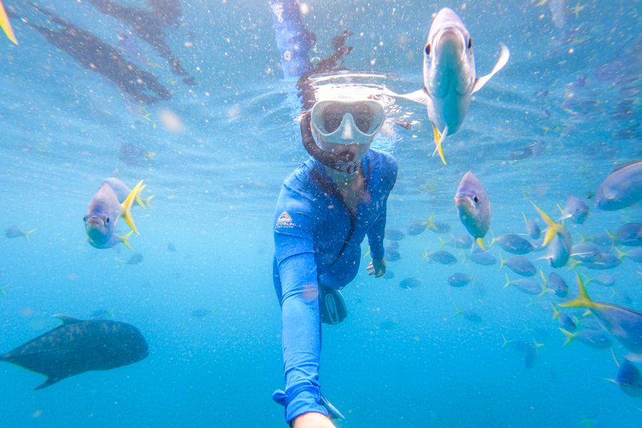 Person taking a selfie whilst snorkelling amongst reef fish, Whitsundays