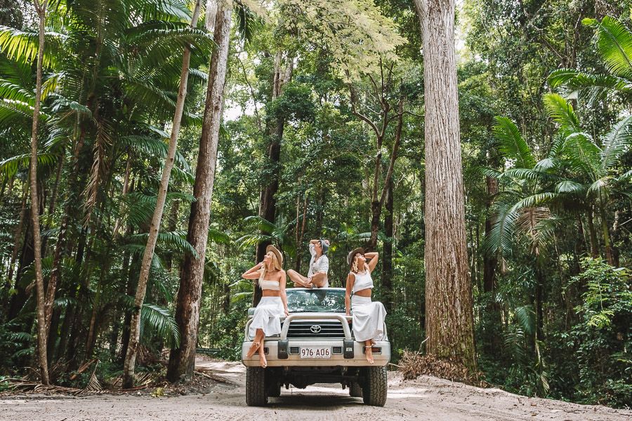 Three people sitting on a 4WD looking out at the K'gari (Fraser Island) rainforest.