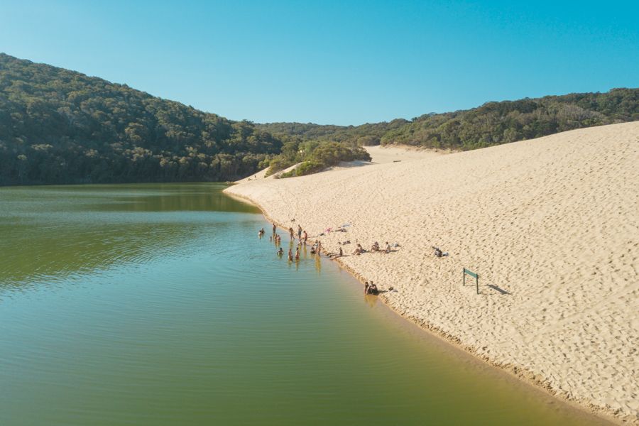 Lake Wabby green lake surrounded by forest and sand