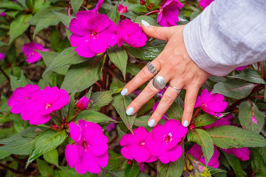 Sydney botanical gardens pink flowers being touched by a hand with silver rings