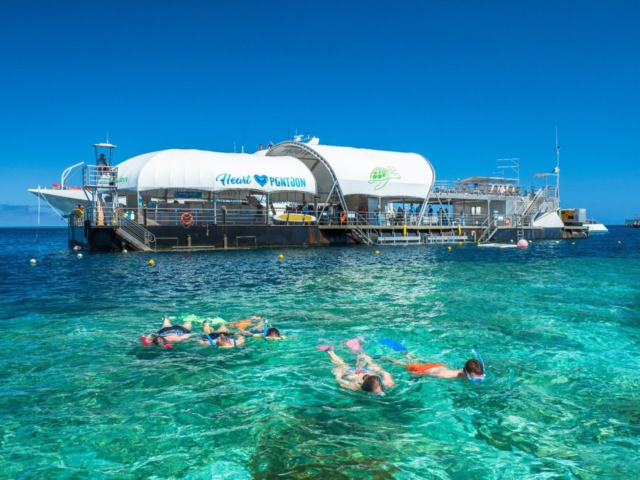 People snorkelling and swimming on the Great Barrier Reef in front of a floating pontoon