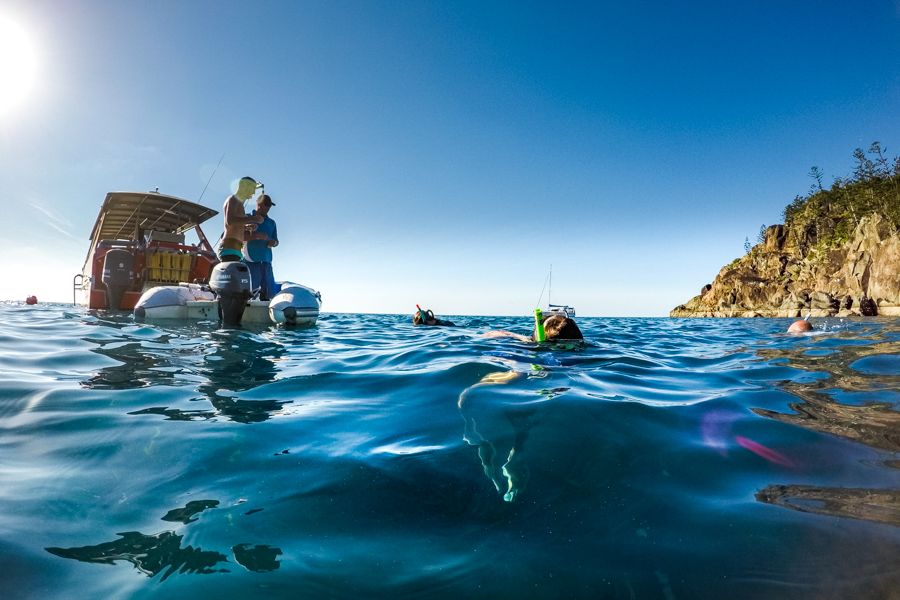 Day tour snorkelling off Hook Island, Whitsundays