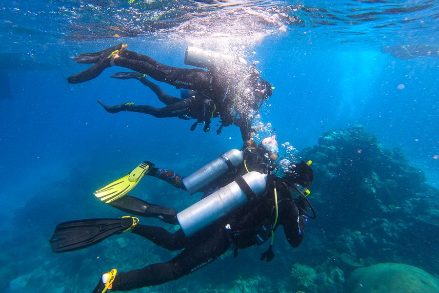 A group of scuba divers underwater