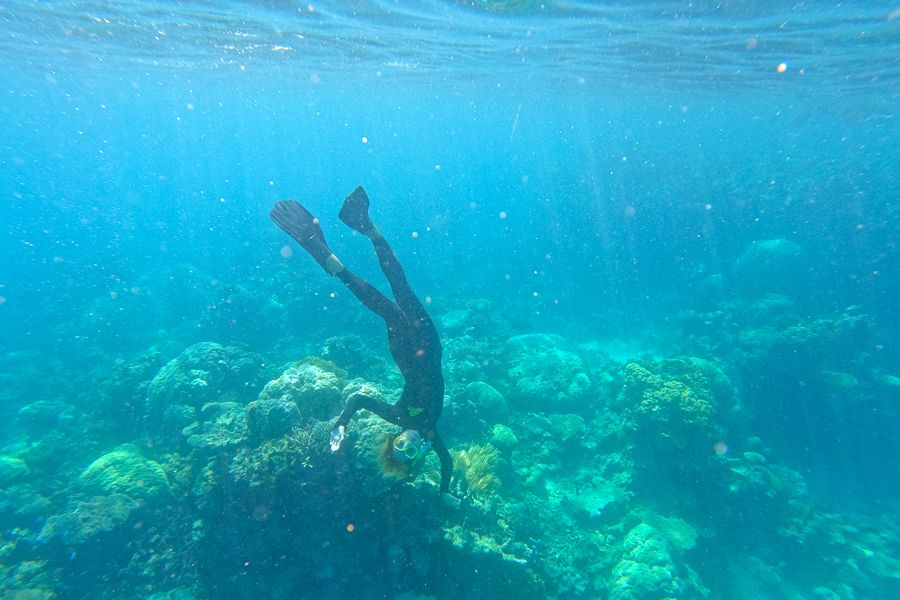 A girl in a wetsuit swimming upside down underwater