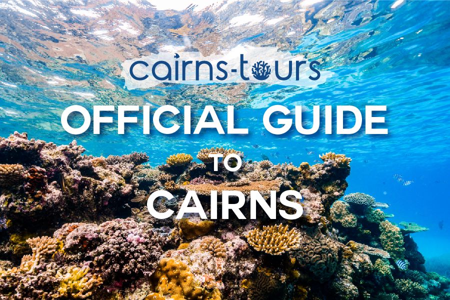 cairns tours tripadvisor