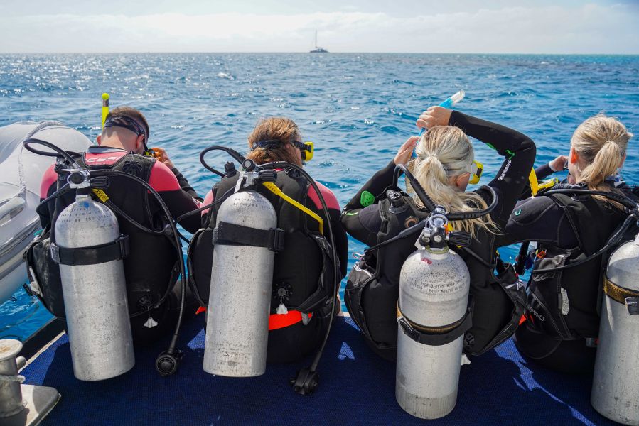 The back of four divers over looking the coral sea