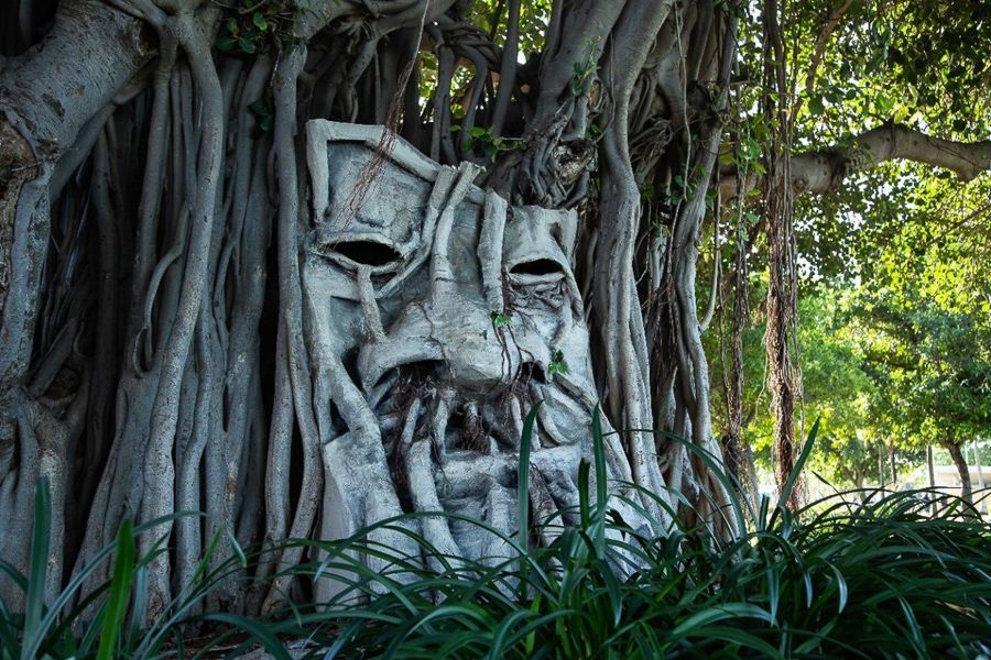 A wooden sculpture of a face attached to a fig tree full of branches