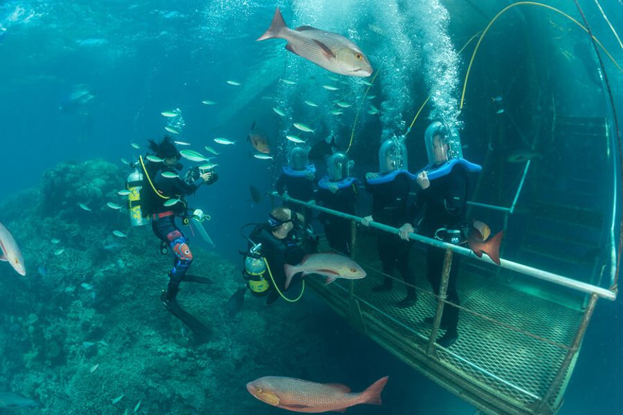 A group of people underwater wearing diving helmets having their photo taken by a scuba diver