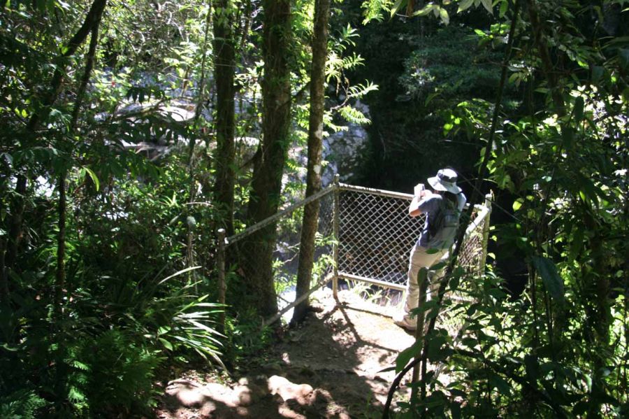 Long, aerial shot of man standing on Souita Falls viewing platform, surrounded by thick lush rainforest