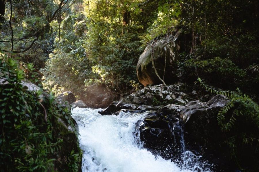 Souita Falls flowing over rocks into small ravine, shrouded by dense rainforest