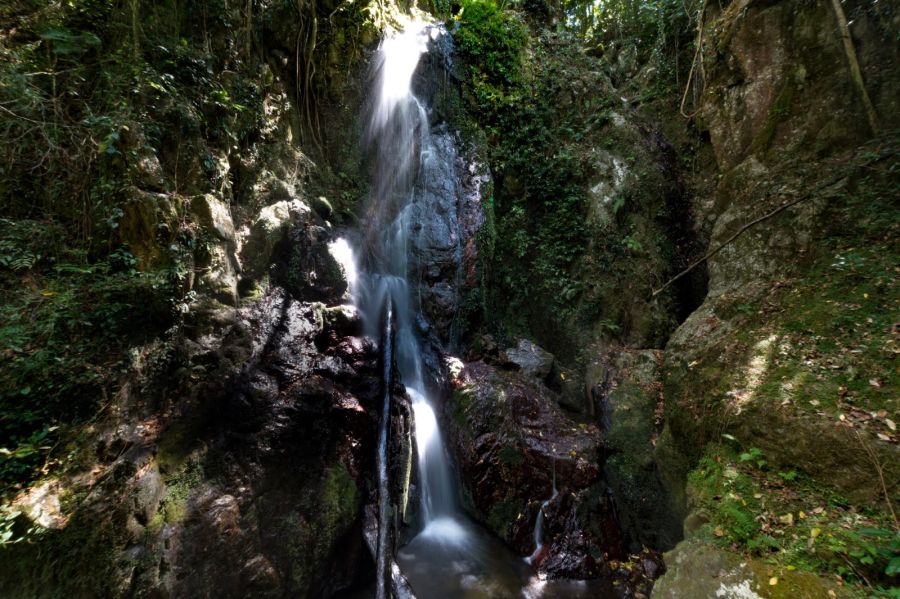 Fractals of light shining on Fairy Falls, water running over dark granite rock, covered in moss