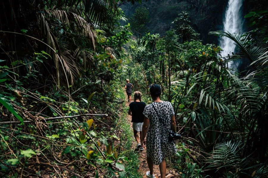 Family of three walk through depths of lush Djyinda track toward waterfall