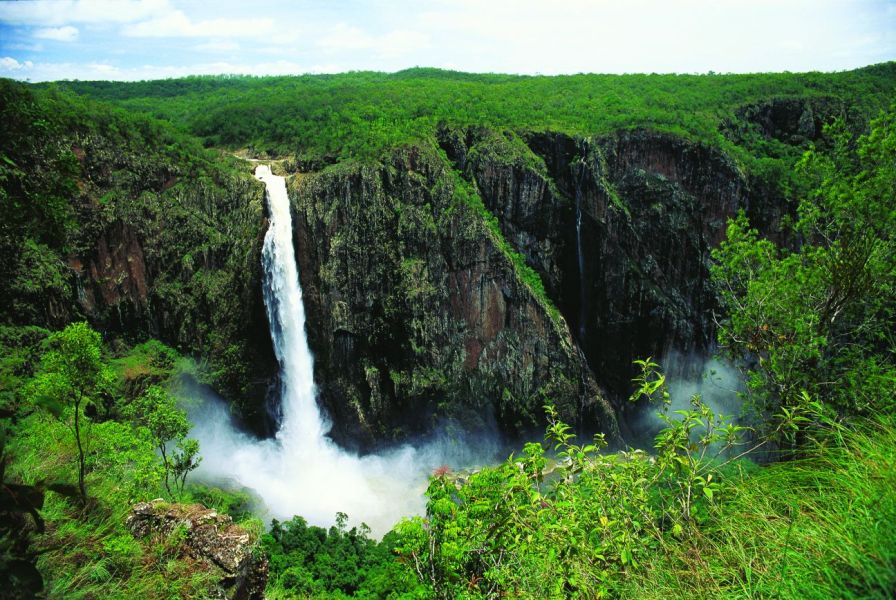 Wallaman Falls' mighty waterfall cascading down steep cliff face, surrounded by dense green rainforest, vantage point from above, 