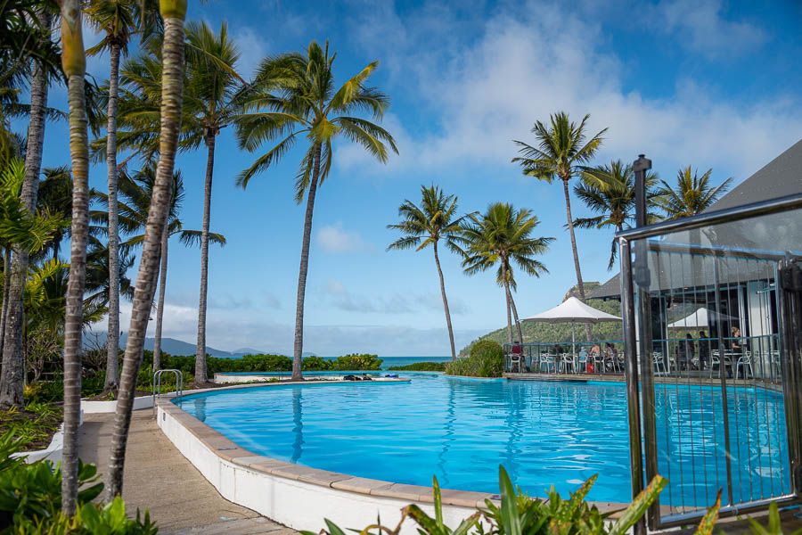 A blue pool surrounded by palm trees