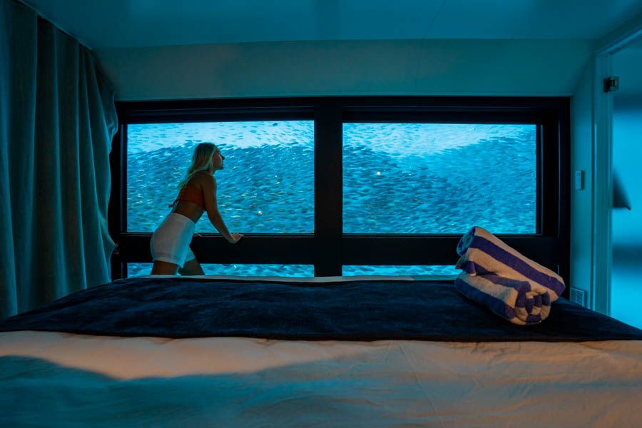 Girl in underwater apartment peering into ocean through window