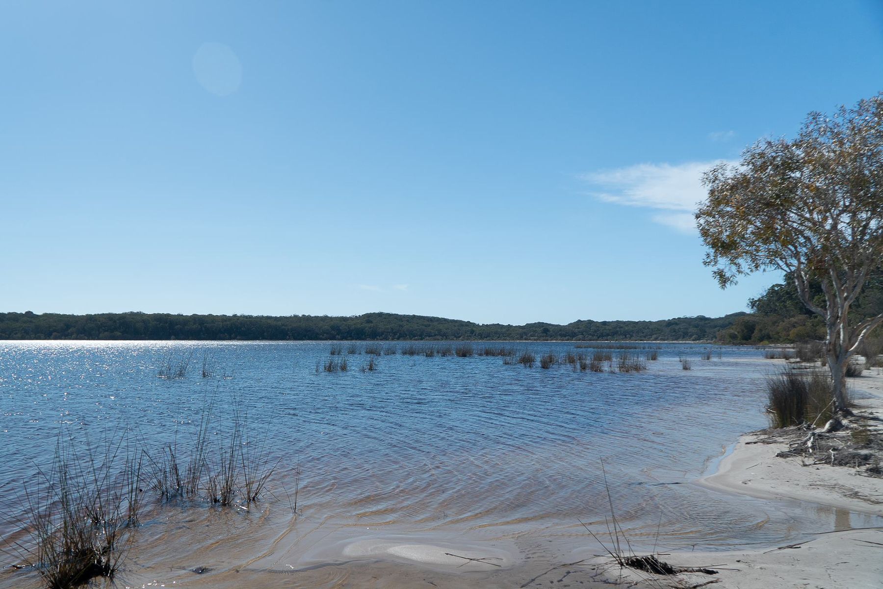 Lake Boomanjin, K'gari (Fraser Island)