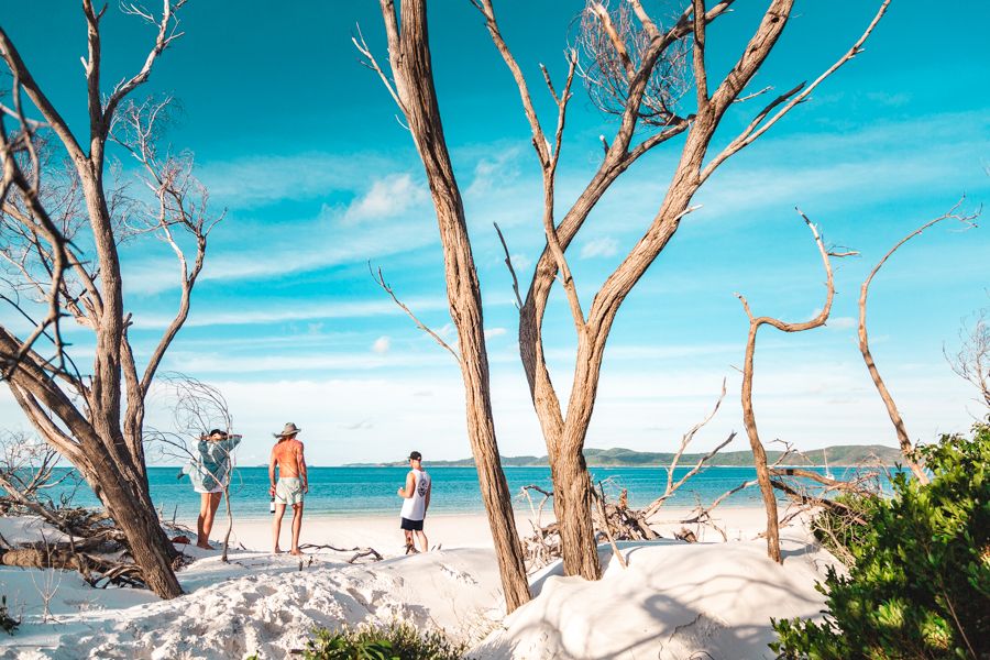 people standing on the beach near trees