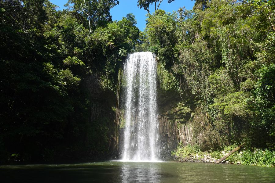 Millaa Millaa Falls Cairns